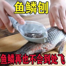 Fish Scale Scraper